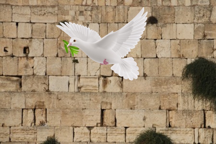 Parshas Yisro: Would You Throw Mud at the Kosel?