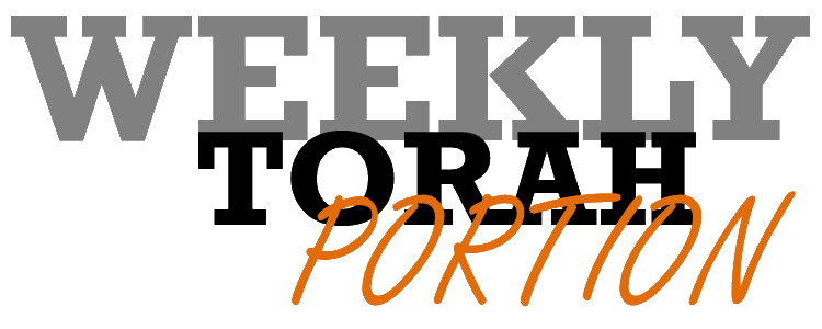 Weekly Torah Portion Jep Queens