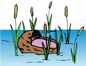 Parshas Vayikra – Use Your Power Wisely!