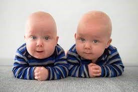 Parshas Lech Lecha: Watch Out If You Are Identical Twins!